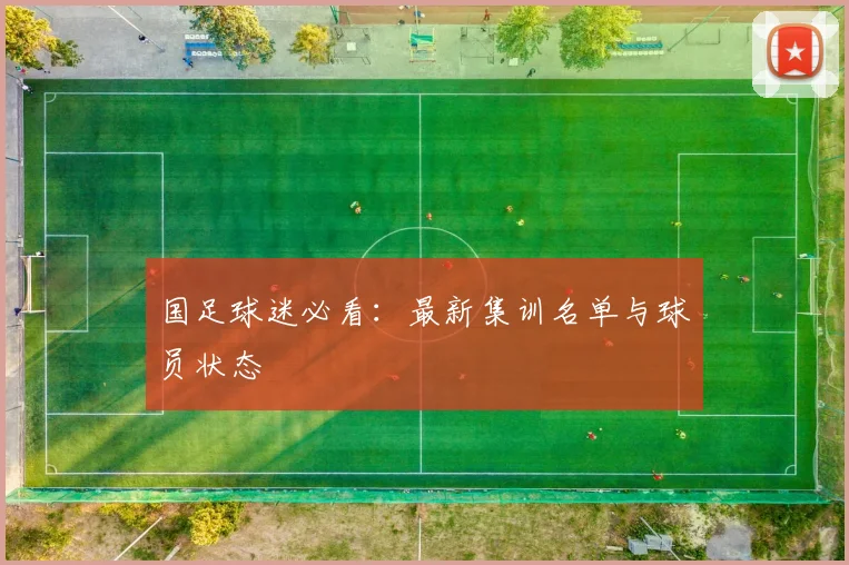 国足球迷必看：最新集训名单与球员状态