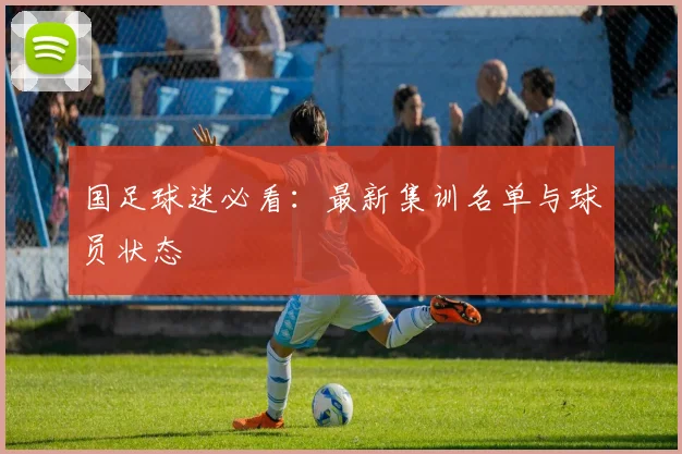 国足球迷必看：最新集训名单与球员状态