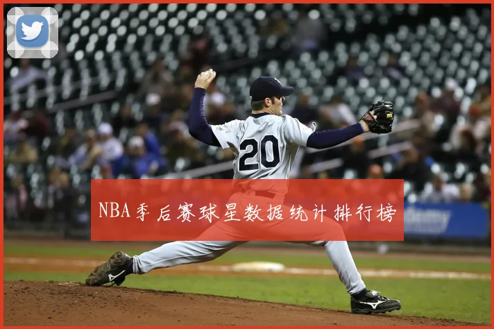 NBA季后赛球星数据统计排行榜